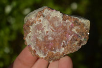 Natural Salrose Cobaltion Dolomite Specimens x 12 From Kakanda, Congo