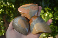 Polished One Side Polished Polychrome Jasper Nodules  x 12 From Madagascar - Toprock Gemstones and Minerals 