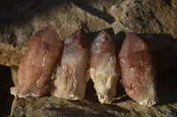 Natural Red Hematoid Quartz Specimens x 12 From Karoi, Zimbabwe