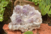 Natural Jacaranda Amethyst Quartz Cluster  x 1 From Zambia - TopRock