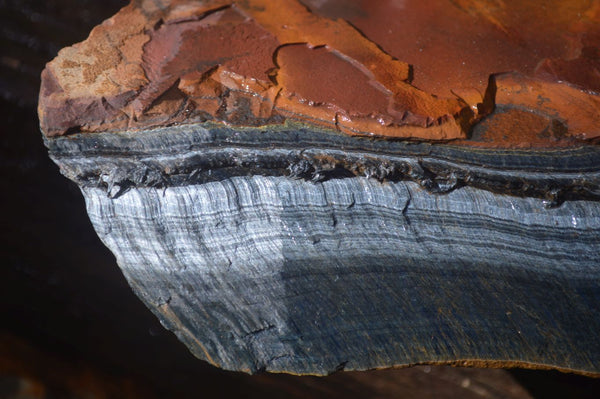 Natural Sliced Tigers Eye Specimen x 1 From Prieska, South Africa - Toprock Gemstones and Minerals 