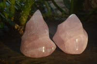 Polished Pink Rose Quartz Flame Sculptures  x 3 From Madagascar - Toprock Gemstones and Minerals 