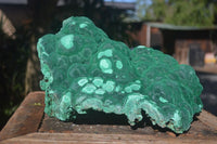 Natural Extra Large Crystalline Botryoidal Malachite Specimen  x 1 From Kasompe, Congo - Toprock Gemstones and Minerals 