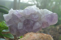 Natural Large Jacaranda Amethyst Crystal Cluster  x 1 From Mumbwa, Zambia - Toprock Gemstones and Minerals 