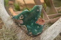 Polished Green Mtorolite / Emerald Chrome Chrysoprase Slices  x 3 From Zimbabwe - TopRock