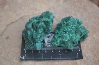 Natural Chatoyant Silky Malachite Specimens  x 12 From Kasompe, Congo - Toprock Gemstones and Minerals 