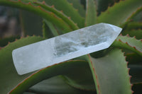 Polished Large Clear Quartz Points x 6 From Madagascar