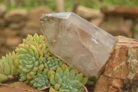 Polished Large Smokey Window Quartz Crystals  x 2 From Akansobe, Madagascar - TopRock