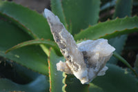 Natural Drusy Quartz Coated Calcite Crystal Specimens  x 6 From Alberts Mountain, Lesotho - Toprock Gemstones and Minerals 