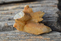 Natural Golden Limonite Fairy Spirit Quartz Finger Clusters x 35 From Boekenhouthoek, South Africa - TopRock