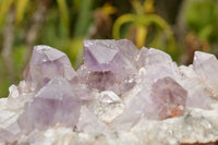 Natural Jacaranda Amethyst Quartz Cluster  x 1 From Zambia - TopRock