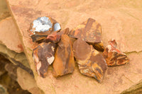 Natural Small Cobbed Nguni Jasper Pieces - sold per 2 kg - From Northern Cape, South Africa - TopRock