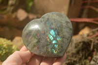 Polished Purple Flash Labradorite Hearts x 6 From Tulear, Madagascar - TopRock