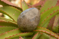 Polished Large Morion Smokey Quartz Eggs x 4 From Madagascar - TopRock