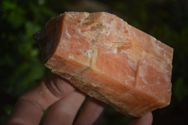 Natural New Sunset Orange Calcite Specimens  x 6 From Spitzkop, Namibia