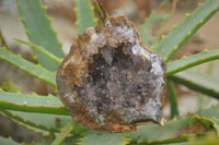 Natural Amethyst & Crystal Centred Geodes  x 12 From Zululand, South Africa - TopRock