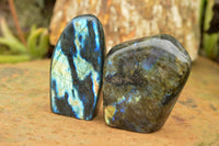 Polished Labradorite Standing Free Forms With Intense Blue & Gold Flash x 3 From Tulear, Madagascar - TopRock