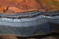 Natural Sliced Tigers Eye Specimen x 1 From Prieska, South Africa - Toprock Gemstones and Minerals 