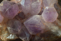 Natural Jacaranda Amethyst Cluster x 1 From Mumbwa, Zambia - TopRock