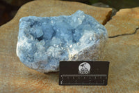 Natural Blue Celestite Cluster With Large Cubic Crystals x 1 From Sakoany, Madagascar - TopRock