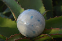 Polished Blue Spotted Spinel Quartz Spheres x 4 From Madagascar