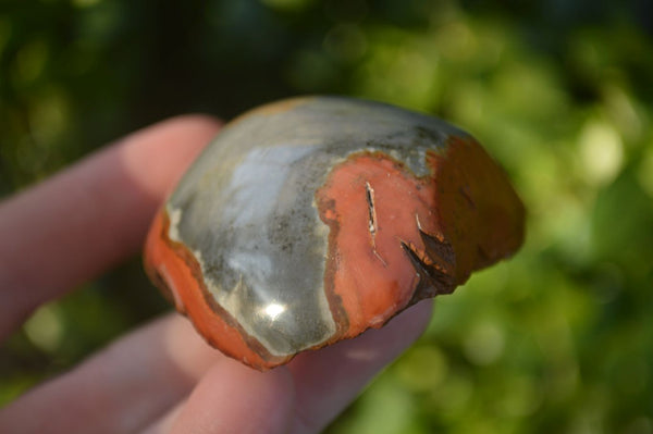 Polished One Side Polished Polychrome Jasper Nodules  x 12 From Madagascar - Toprock Gemstones and Minerals 