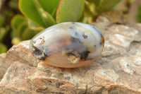 Polished Small  Banded & Dendritic Agate Standing Free Forms  x 12 From Moralambo, Madagascar - TopRock