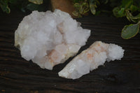 Natural White Spirit Cactus Quartz Clusters  x 2 From Boekenhouthoek, South Africa - Toprock Gemstones and Minerals 