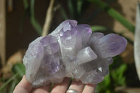 Natural Jacaranda Amethyst Clusters  x 3 From Mumbwa, Zambia - Toprock Gemstones and Minerals 