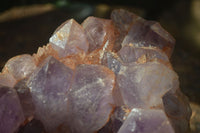 Natural Jacaranda Amethyst Cluster x 1 From Mumbwa, Zambia - TopRock