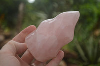 Polished Gemmy Pink Rose Quartz Flames  x 2 From Ambatondrazaka, Madagascar - TopRock