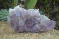 Natural Large Jacaranda Amethyst Crystal Cluster  x 1 From Mumbwa, Zambia - Toprock Gemstones and Minerals 