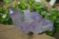 Natural Jacaranda Amethyst Clusters  x 3 From Mumbwa, Zambia - Toprock Gemstones and Minerals 