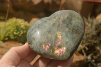 Polished Purple Flash Labradorite Hearts x 6 From Tulear, Madagascar - TopRock