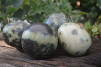 Polished Leopard Stone Eggs & Spheres  x 4 From Zimbabwe - TopRock