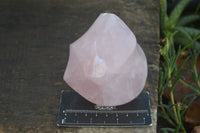 Polished Pink Rose Quartz Flame Sculptures  x 3 From Madagascar - Toprock Gemstones and Minerals 