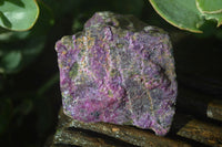 Natural Purple Stichtite Cobbed Specimens  x 12 From Barberton, South Africa - Toprock Gemstones and Minerals 