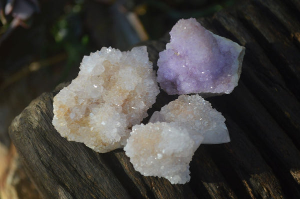 Natural Mixed Spirit Quartz Crystals & Clusters  x 35 From Boekenhouthoek, South Africa - Toprock Gemstones and Minerals 