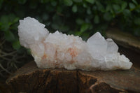 Natural White Spirit Cactus Quartz Clusters  x 2 From Boekenhouthoek, South Africa - Toprock Gemstones and Minerals 