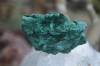 Natural Chatoyant Silky Malachite Specimens  x 12 From Kasompe, Congo - Toprock Gemstones and Minerals 