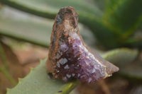 Natural Amethyst & Crystal Centred Geodes  x 12 From Zululand, South Africa - TopRock