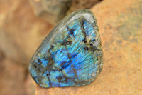 Polished Labradorite Standing Free Forms With Intense Blue & Gold Flash x 3 From Tulear, Madagascar - TopRock