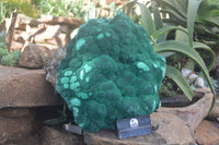 Natural Extra Large Crystalline Botryoidal Malachite Specimen  x 1 From Kasompe, Congo - Toprock Gemstones and Minerals 