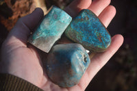 Polished Blue Shattuckite Free Forms  x 12 From Kaokoveld, Namibia - Toprock Gemstones and Minerals 