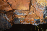 Natural Sliced Tigers Eye Specimen x 1 From Prieska, South Africa - Toprock Gemstones and Minerals 