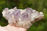 Natural Jacaranda Amethyst Quartz Cluster  x 1 From Zambia - TopRock