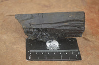 Natural Schorl Black Tourmaline & Smokey Quartz Specimens x 2 From Erongo Mountains, Namibia - TopRock