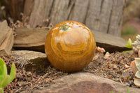 Polished Pair Of Polychrome & Ocean Jasper Spheres  x 2 From Madagascar - TopRock