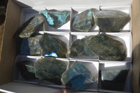 Polished One Side Polished Labradorite Slices  x 12 From Madagascar