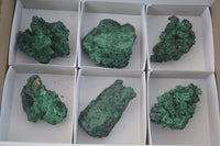 Natural Chatoyant Silky Malachite Specimens  x 6 From Congo - Toprock Gemstones and Minerals 